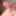 My rich cock with a rich erection and without waxing - 02 #20