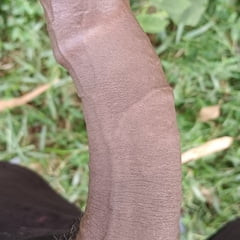 Sadece sizin için al bebeğim 