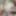Blonde coed Lily Anna sucking dick