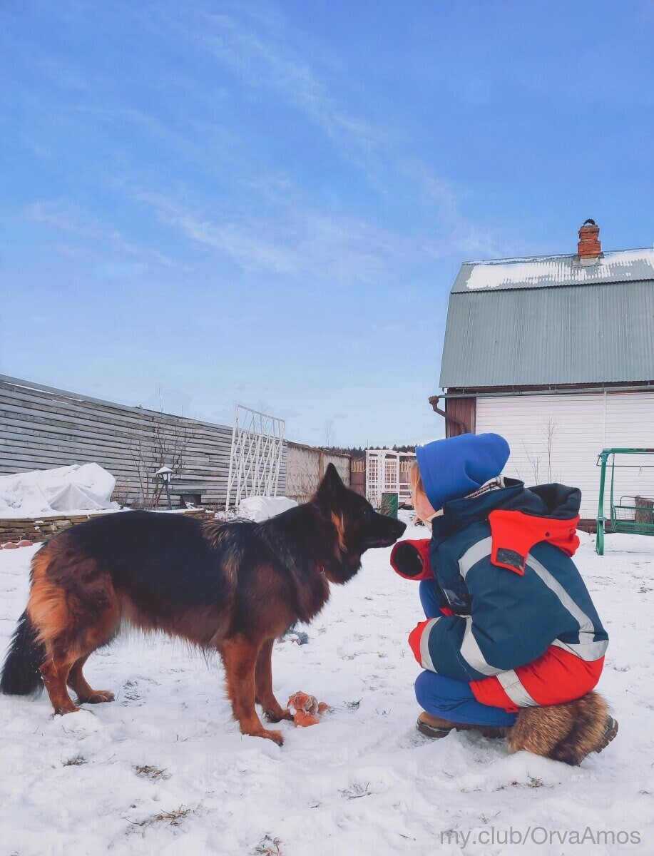 Minnie Free Photos #17