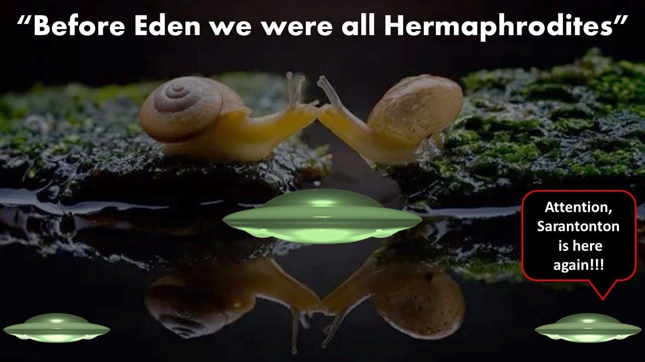 Before Eden we all were Hermaphrodites