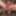 Greatest GIFs from Sexy Slut Evelina 84
