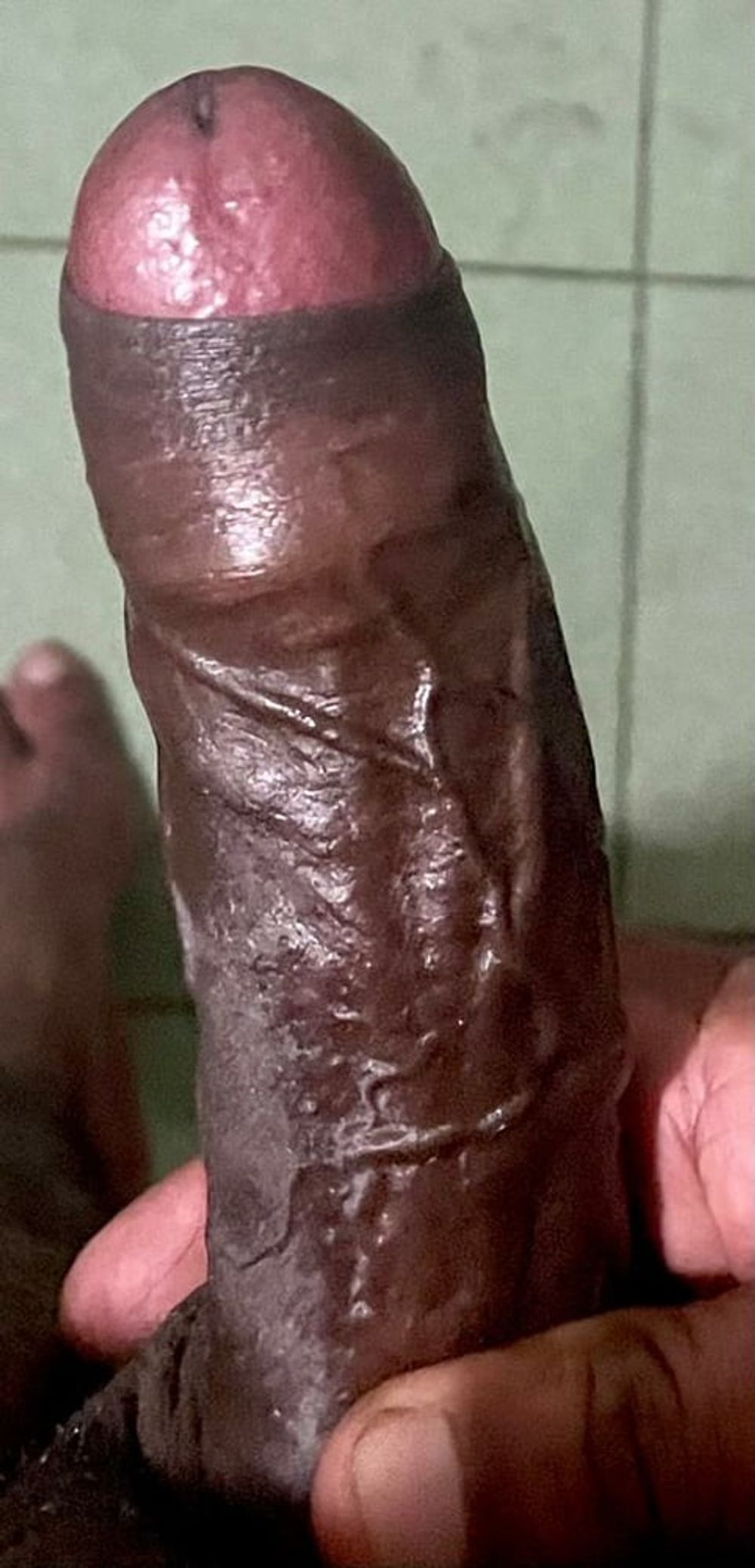 Dick,indian,kerala #3