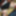 ほんの数枚の写真