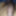 ペニスの写真