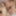 Mika Sumire &amp; HITOMI :: Swapping Wish Comes True - CARIBBEAN #14