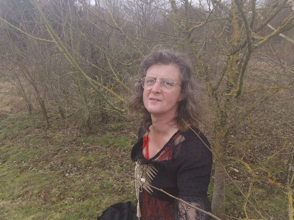  let's take a walk in the woods #6