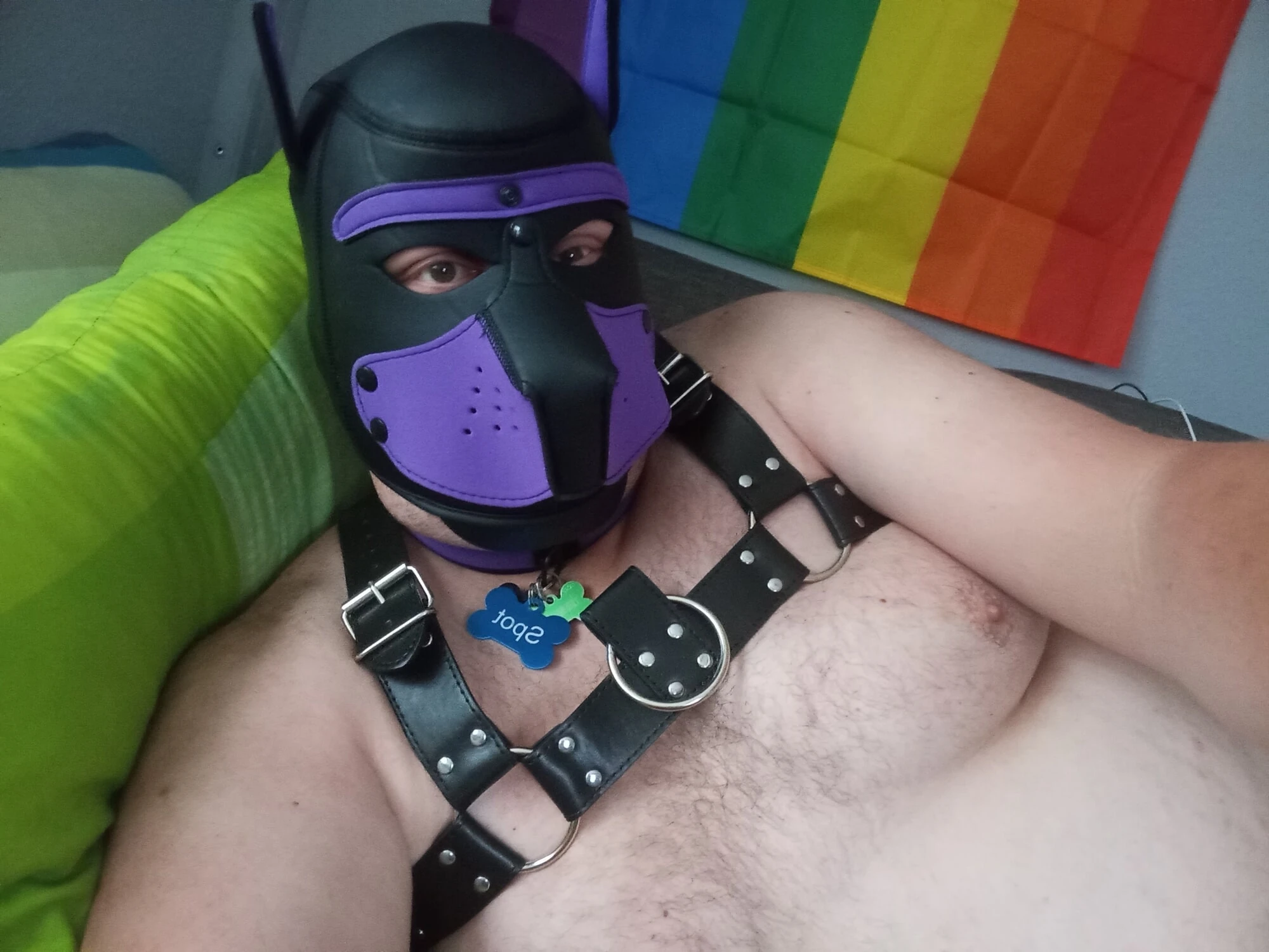Gay