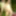 Trans Camelia naked pics small cock