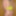 Me in leotard thong bodysuit  stringbody #32