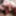 Kinky Posing Slutty Evelina 17