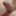 Beautiful dick yammy dick 