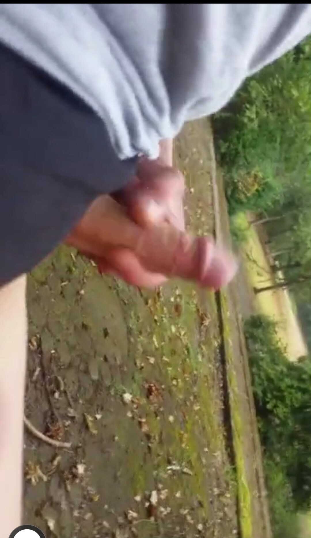 Draussen im Park mit schwanz gespielt
