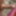 ディック写真など