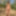 Matti Sommer 2024, shaved Men