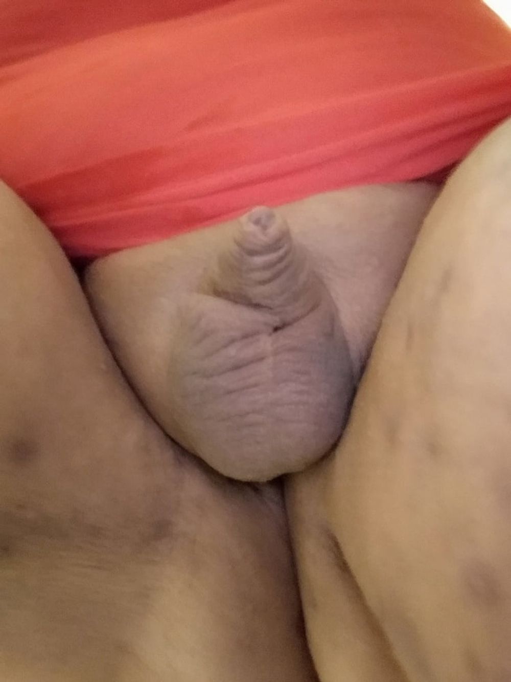 Fat Sissy Pig Dani 2019 #27