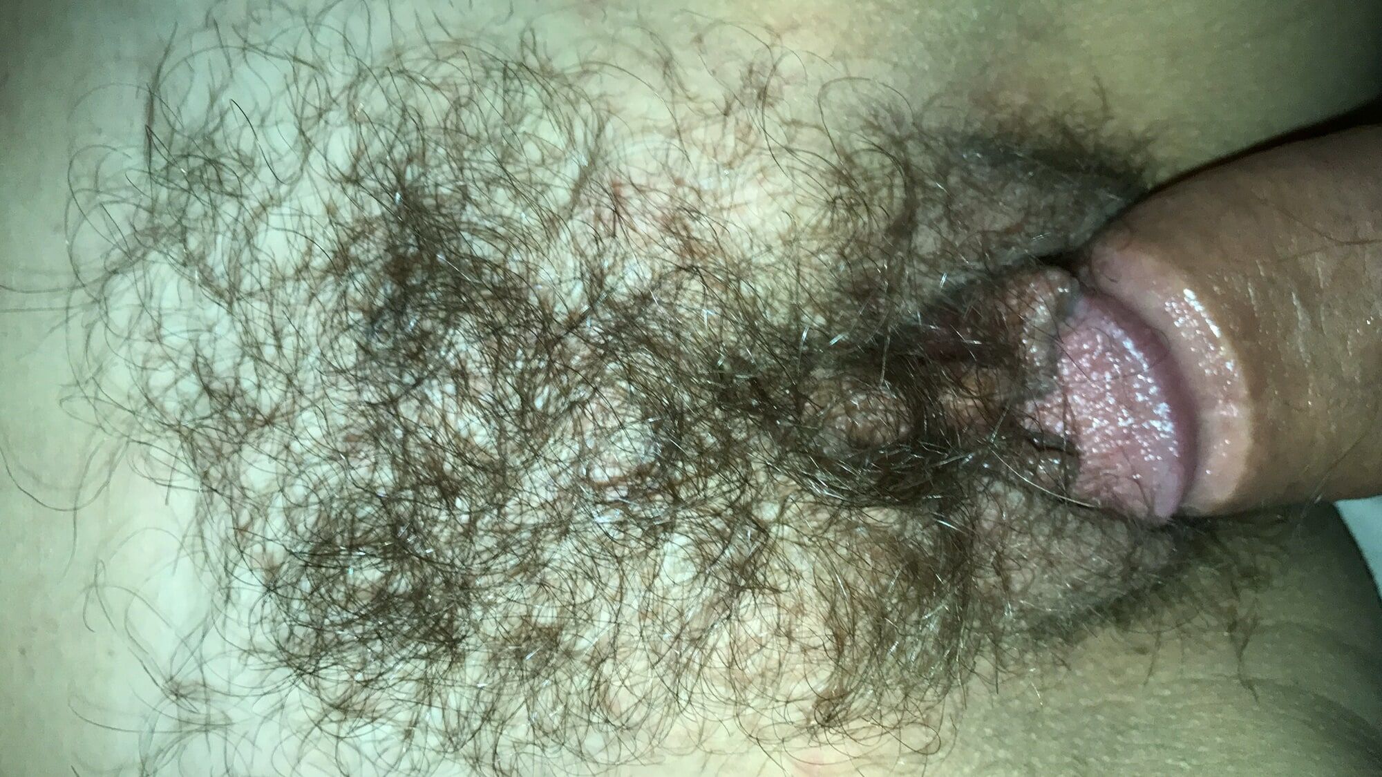 Wife bush over last 18 years, I love her hairy amateur cunt #25