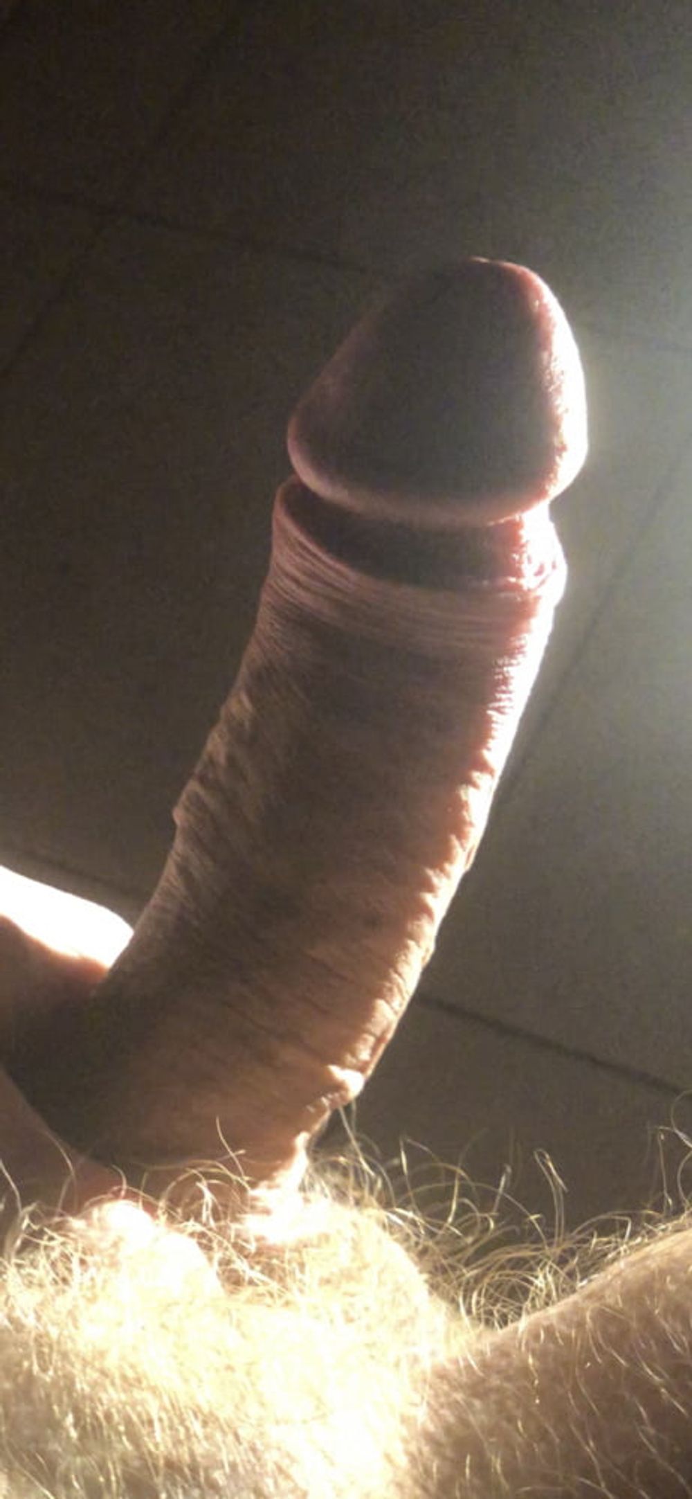 Non porn lighting for a porn dick #8