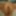 Open Pussy,big Tits, nice asshole