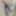 Daily duty of the naked slave April 6th, 2024 