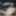 Amelie 2025 Chevrolet Corvette ZR1