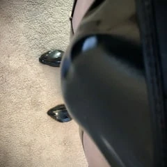 Let Me Out and Play