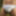 Satin panties in the woods #9