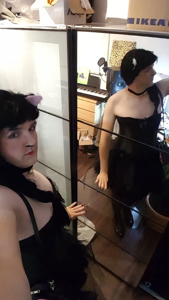 Kitty-Cat #8