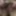 My Hairy Pussy Close Ups American Milf 15