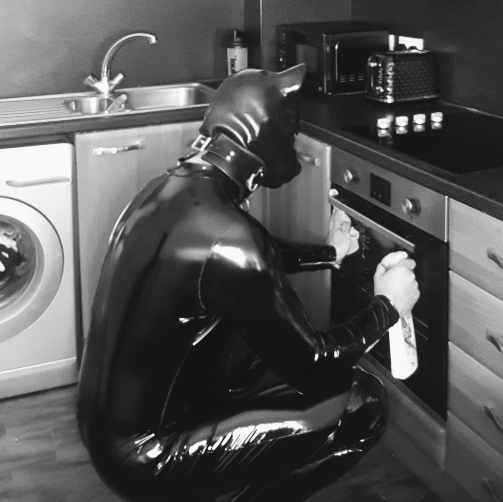 Rubberpup1072 doing house work #9