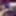 Jan 7 WEEKLY Update to DoggVision VIP Members Area #24