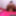 4K Sheisnovember Ebony Face Sitting Black Assworship Femdom