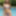 ROSS Free Photos