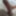 My cock 2