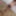 CASTING CASES📑: Model screams at Videographer for taking clo #16