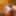 My asshole in tanga with buttplug 6 cm