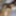 Fantastic asian amateur is giving head