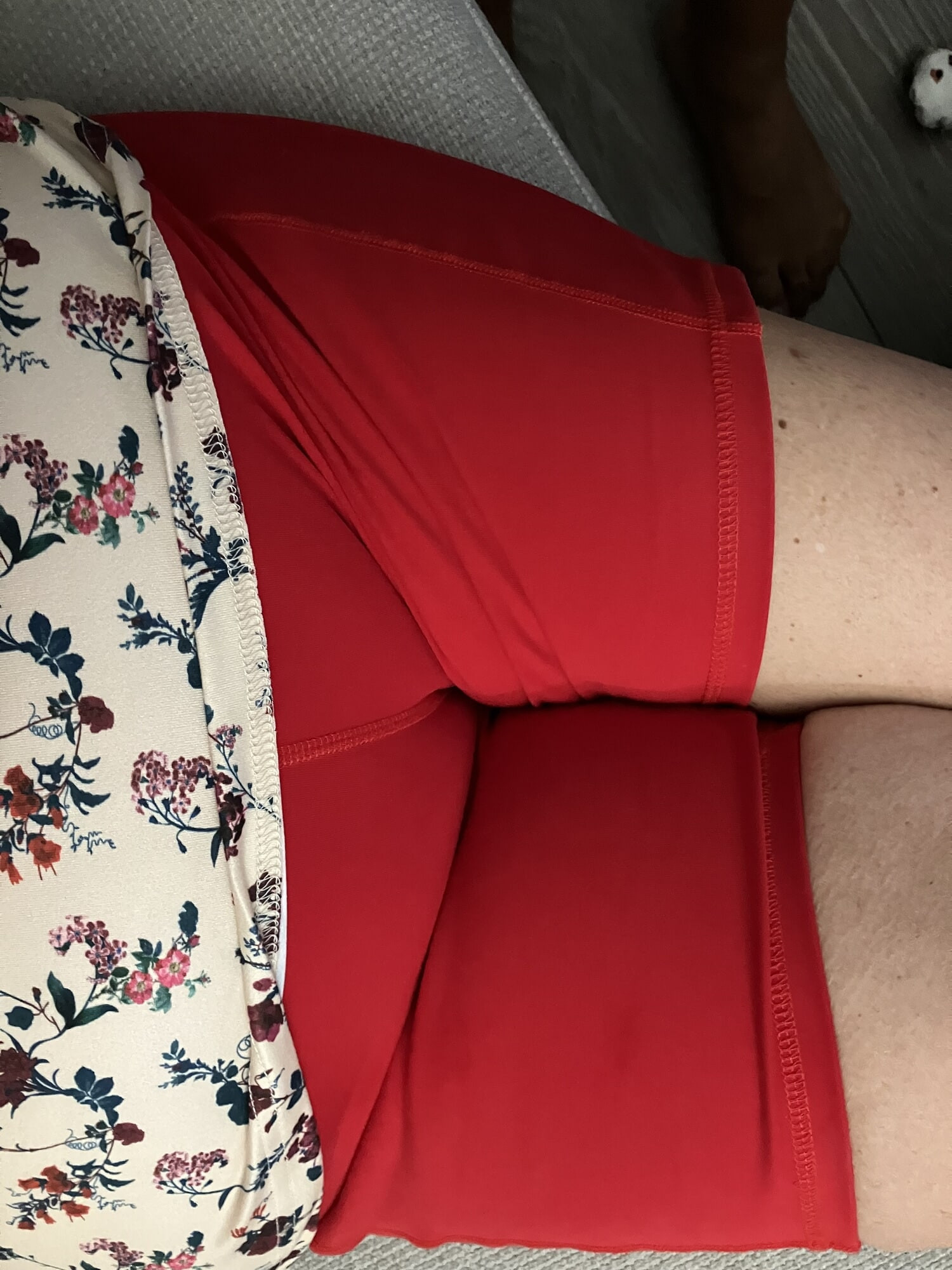 Cameltoe 