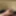 cock close up