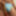Small penis bulge cum in cute duck speedo, brief, trunks. #5