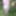 Mix 10 #51