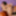  Dani Jensen and Veronica Avluv are neighbors, who are going #11