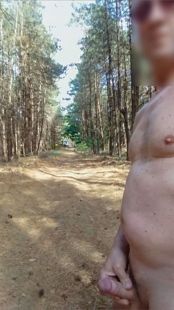 exhibitionist naked jerking cumshot in the woods #7