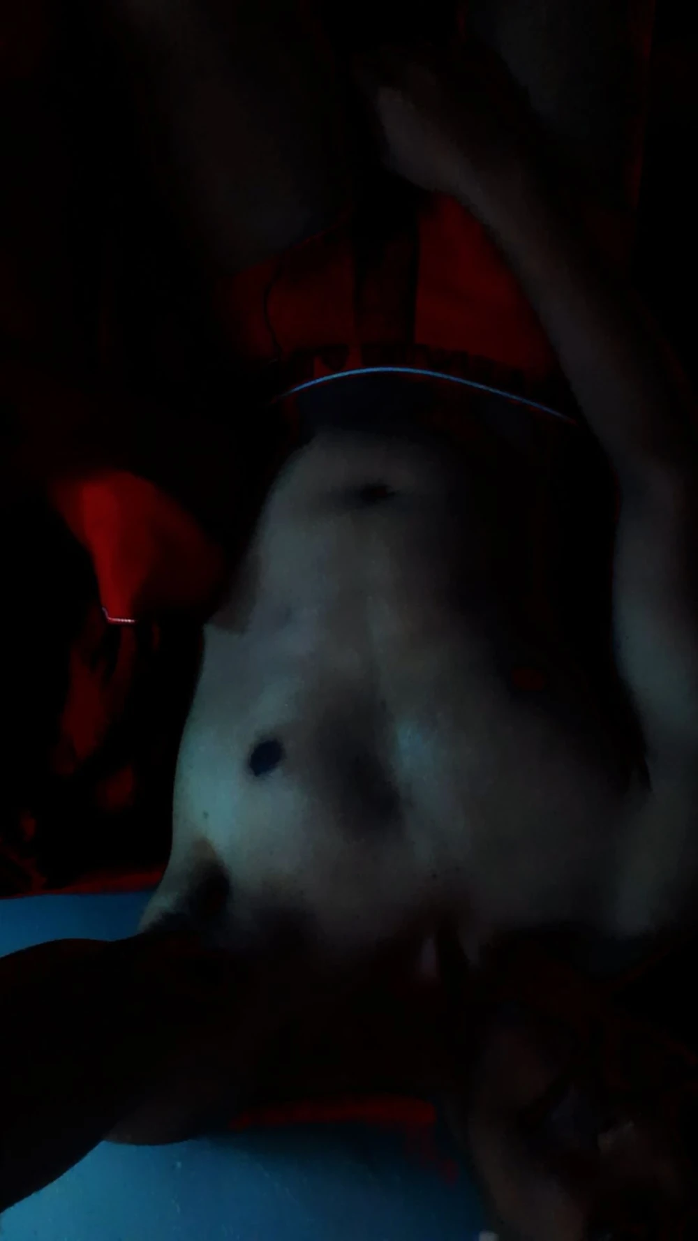 Nudes #3