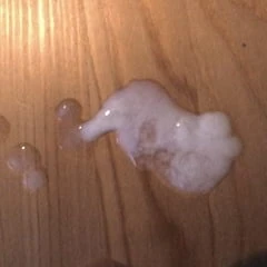 Little cumshot 