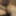 Cumshot GIFS re-uploaded :)