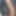 ディックの写真