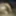Sex photo