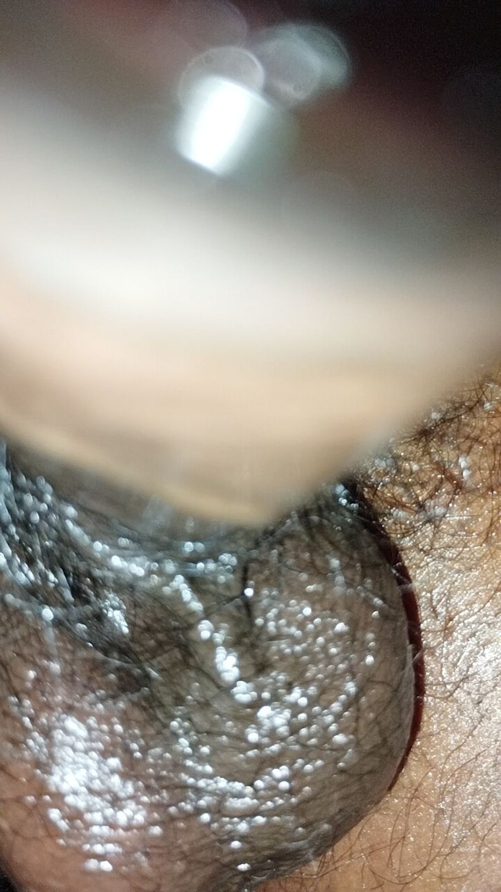 Asian black cock, boy black panis, indian panis, kala lanf #4