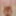 Amateur Grandmas Pictures